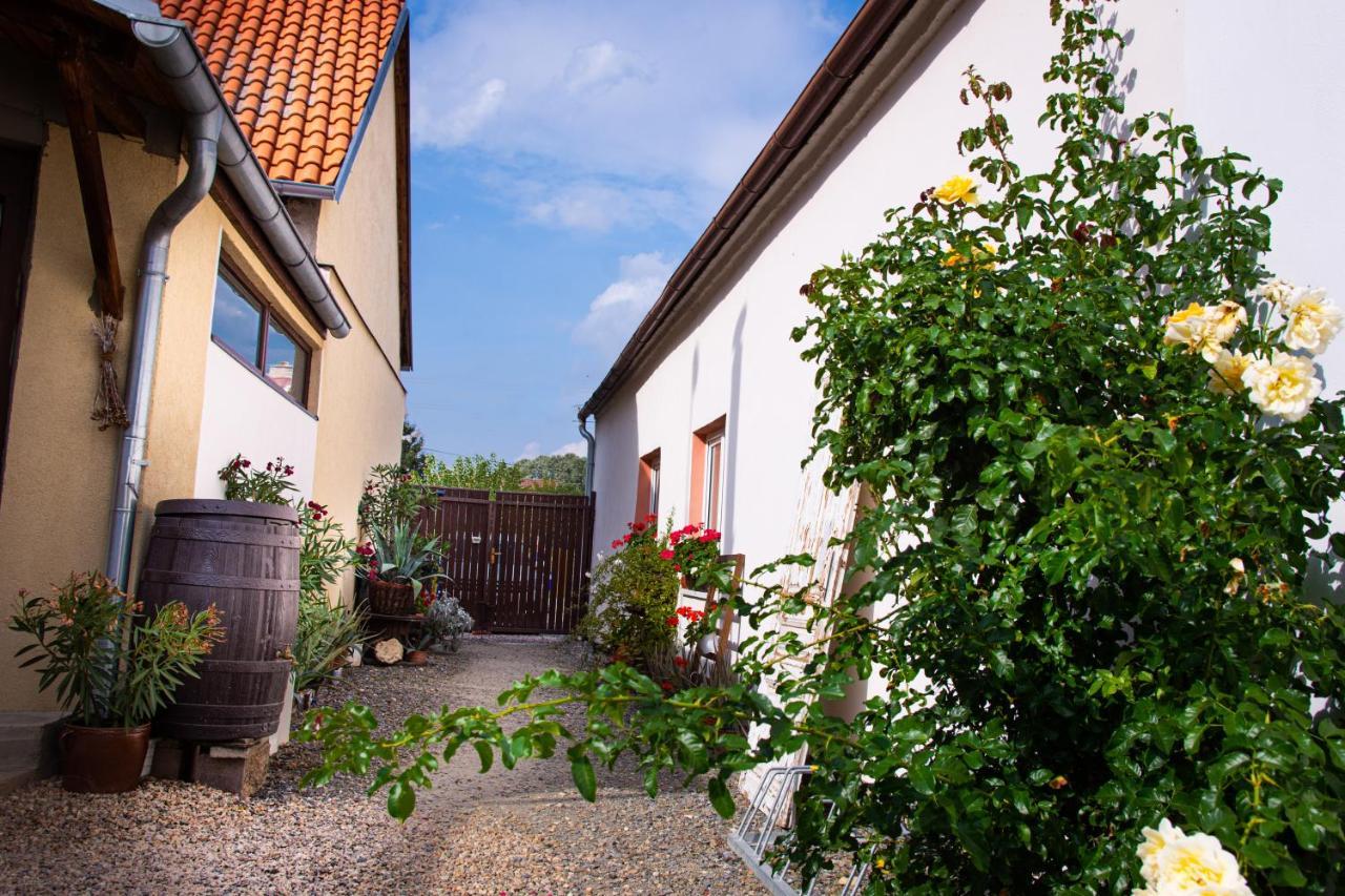 Penzion Marhulka Dolni Vestonice Exteriér fotografie